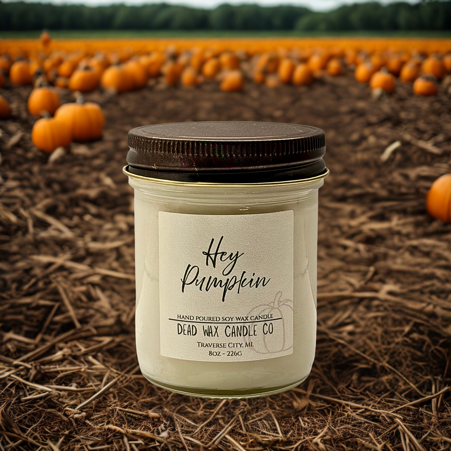 Hey Pumpkin - Soy Wax Candle